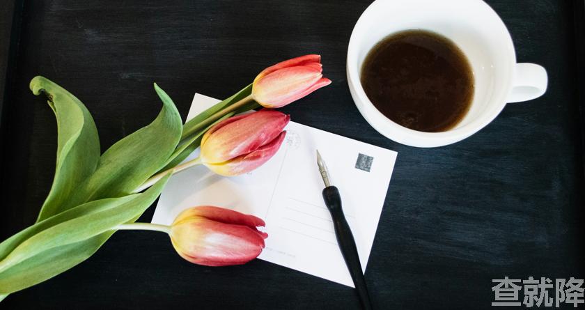 查就降,查就降官网,免费论文降重,免费论文查重系统