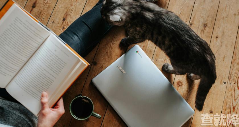 查就降,查就降官网,免费论文降重,免费论文查重系统