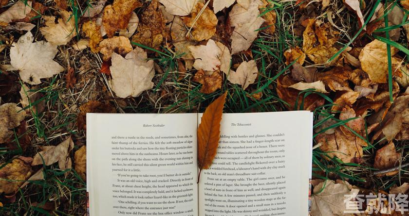 查就降,查就降官网,免费论文降重,免费论文查重系统